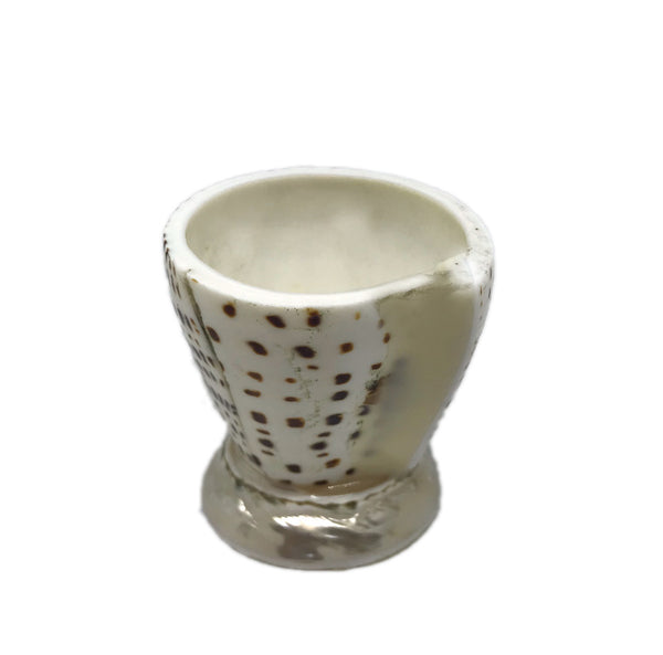 Espresso Coffee or serving Cup made from Shell