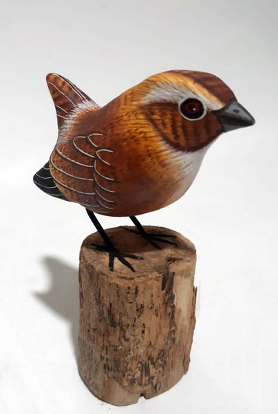 Wren