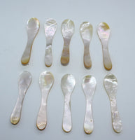 Shell spoon's (set of 5pcs)