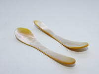 Shell spoon's (set of 5pcs)