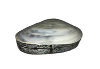 Jewelry Box made from Shell and Resin