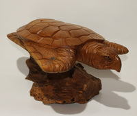 Large Turtle