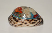 Tiger Shell with Resin art