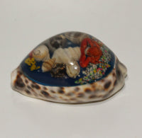 Tiger Shell with Resin art