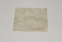 Coaster in White Oyster Shell