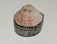 Jewelry box with shell