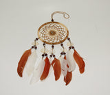 Dream Catcher in Pack of 10 mix Color