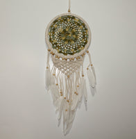 Dream Catcher in Pack of 4 mix Color