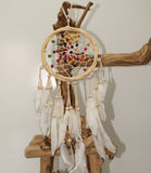 Dream Catcher