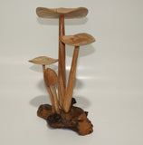 Mushroom From Wood