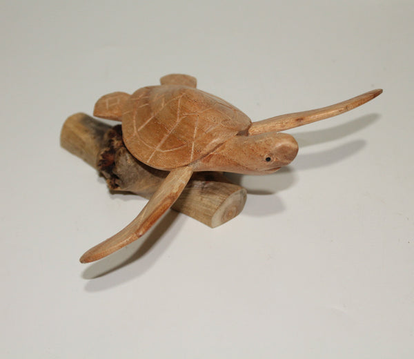 Turtle On Parasite Wood