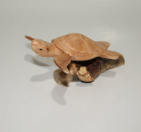 Turtle On Parasite Wood