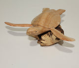 Turtle On Parasite Wood