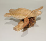 Turtle On Parasite Wood