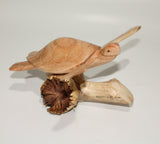 Turtle On Parasite Wood