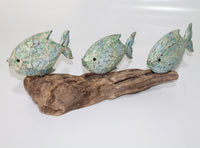 3 Fish's on Driftwood