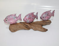 3 Fish's on Driftwood