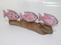 3 Fish's on Driftwood