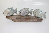 3 Fish's on Driftwood