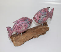 2 Fish on Driftwood