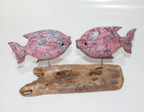 2 Fish on Driftwood