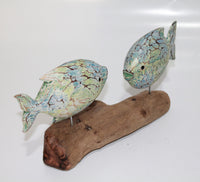 2 Fish on Driftwood