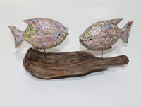 2 Fish on Driftwood