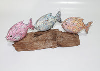 3 Fish's on Driftwood