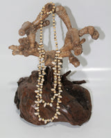 Necklace With Shell Double Hang