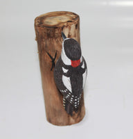 Bird Woodpecker Black