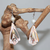 Earrings from Shell with Pearl in 5 variants