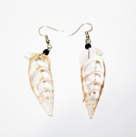 Earring with Shell in 5 variants