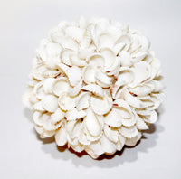 Ball Rose From Shell (Set of 3)