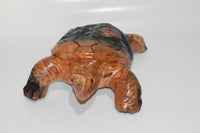 Teak Wood Turtle got Burned