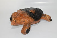 Teak Wood Turtle got Burned