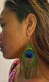 Large Earrings Peacock