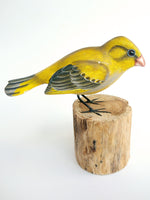 Green Finch