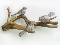 3 Birds on Driftwood