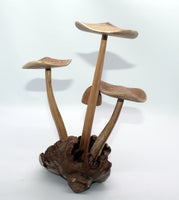 Wooden Mushroom