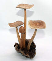 Wooden Mushroom