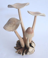 Wooden Mushroom