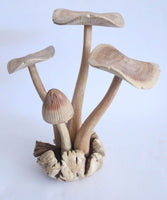 Wooden Mushroom