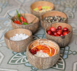 Small Serving Coconut Bowl