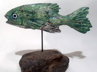 Fish on driftwood Size M