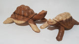 Large Turtle from Parasite Wood