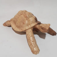 Large Turtle from Parasite Wood