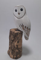 Snow Owl