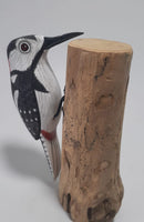 Bird Woodpecker Black