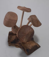 Wooden Mushroom on Root Wood