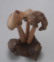 Wooden Mushroom on Root Wood